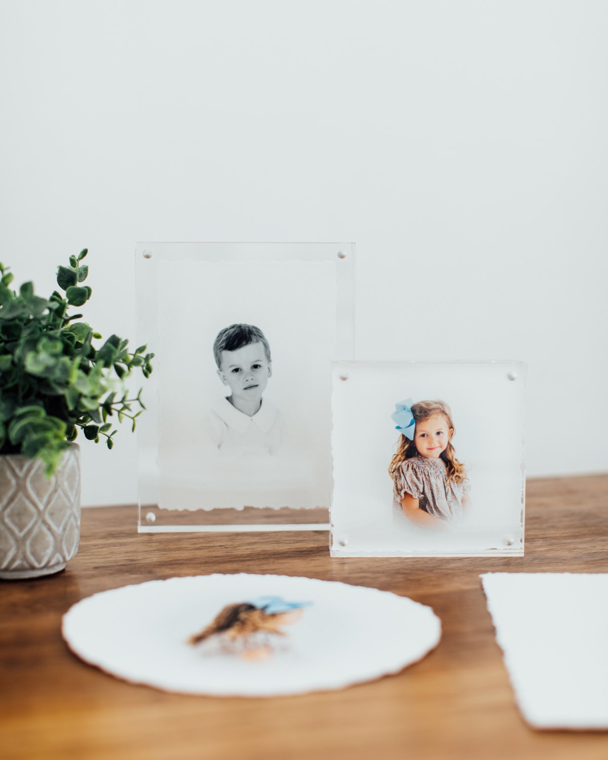 Mallory Shelton Photography; Dallas, Aledo, Fort Worth Heirloom Portrait Photographer